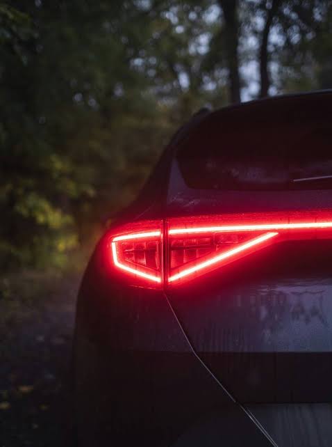 Coating and Shine